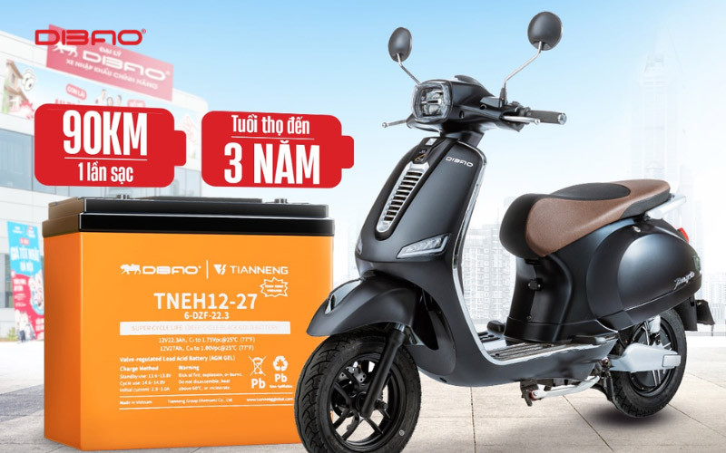 ắc quy xe máy điện